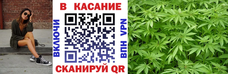 Продажа наркотиков Бородино АМФ  Галлюциногенные грибы  ГАШИШ  Cocaine  Бошки Шишки  Альфа ПВП 